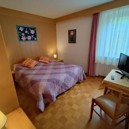 Garofol Da Mont-dolomiti E Relax Apartment Soraga